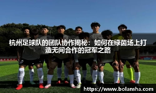 杭州足球队的团队协作揭秘：如何在绿茵场上打造无间合作的冠军之路