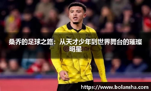 桑乔的足球之路：从天才少年到世界舞台的璀璨明星